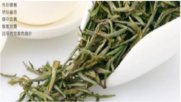 黄山毛峰的功效与作用 黄山毛峰的功效简介