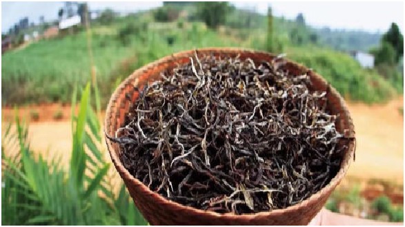 怎样冲泡普洱茶 普洱茶的冲泡方法步骤