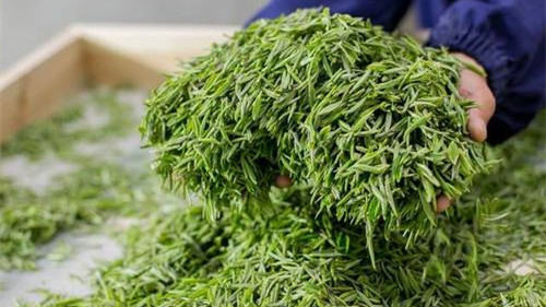 绿茶有哪些品种 绿茶前十名品种