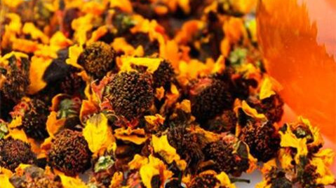 天山雪菊的美容功效 天山雪菊的作用是什么