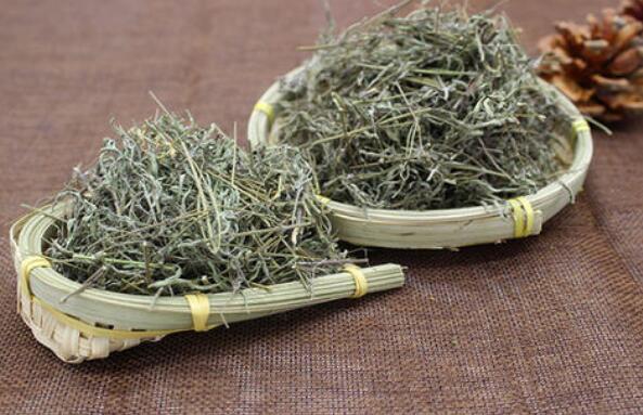 香薷泡水喝有什么功效 香薷的功效与作用及药用价值