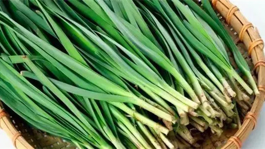 男人吃韭菜有什么功效 男人吃韭菜的功效与作用