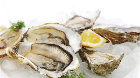 男人吃生蚝有什么作用与功效 男人吃生蚝的好处和功效与作用