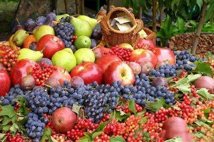 患有脑血栓病人吃什么好得快有助于身体恢复