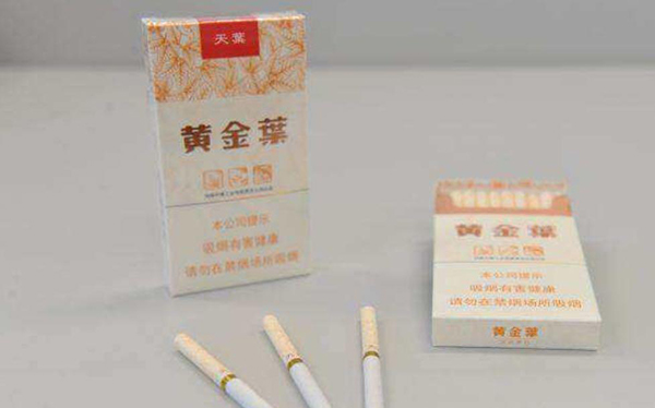 怎么区分大天叶和小天叶 小天叶和大天叶区别对比