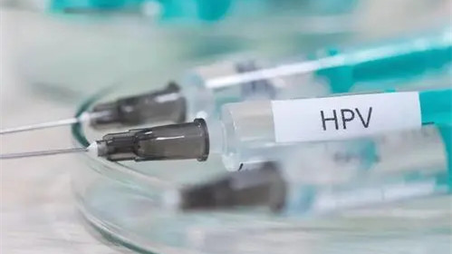 hpv疫苗二价四价九价区别价格多少 hpv疫苗二价四价九价适用年龄