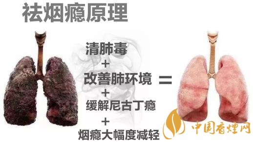 戒烟后关键在于清肺排毒 才能快速清肺里的烟毒!