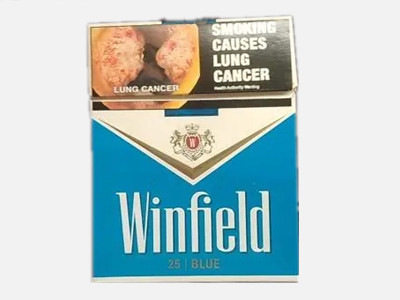 Winfield(温菲尔德)