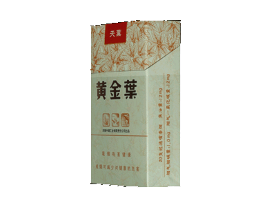 黄金叶（天叶）