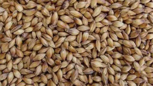 精酿啤酒怎么制作的 精酿啤酒制作方法