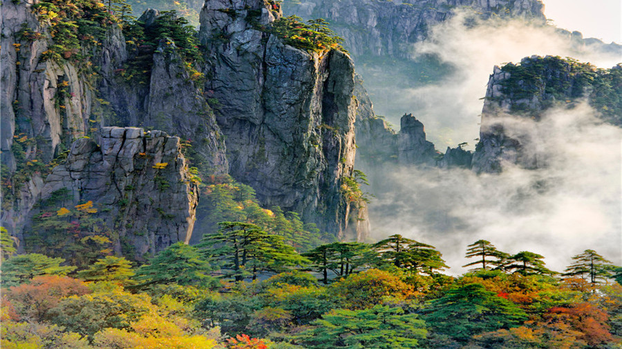 黄山国宾迎客松多少钱一包 黄山国宾迎客松价格