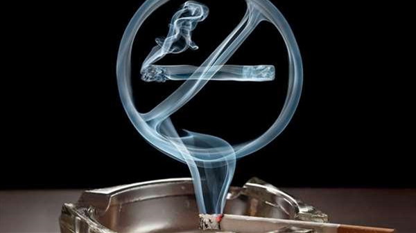 苏烟好风光香烟价格表图2025 苏烟好风光香烟多少钱一包