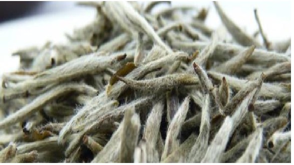 白毫银针如何冲泡 白毫银针的冲泡禁忌