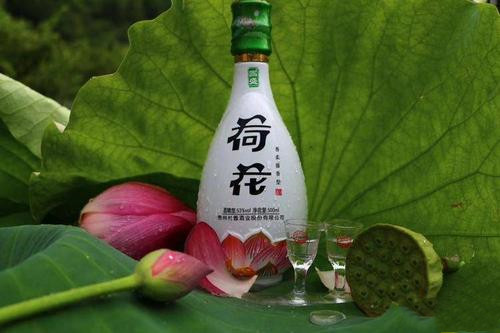 杜酱荷花酒批发多少钱 杜酱荷花酒价格表和图片一览