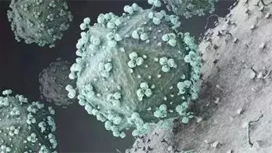 得了梅毒会怎么样 怎样辨别是不是梅毒