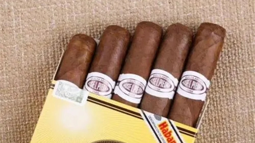 比亚达小绅士雪茄怎么样 比亚达小绅士雪茄口感测评