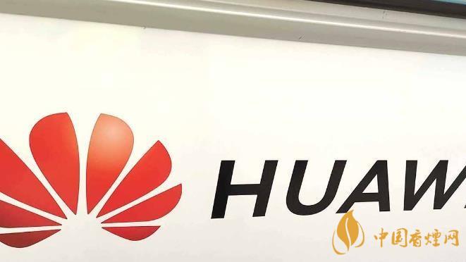 华为手机开发者模式有什么用 怎么打开?