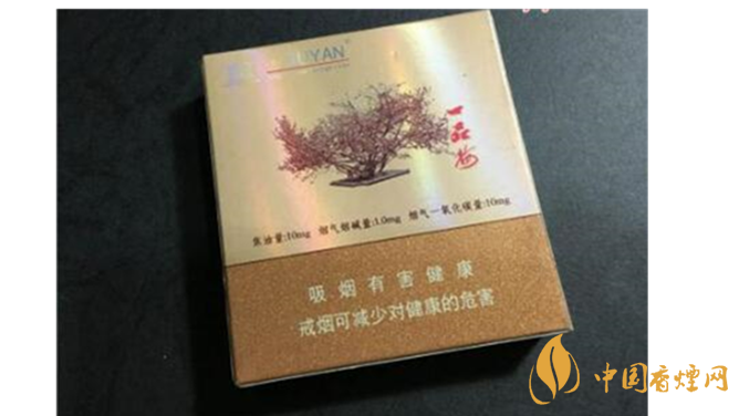 苏烟一品梅2025价格表及图片 苏烟一品梅贵吗