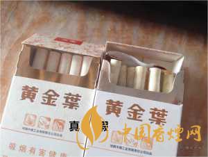 黄金叶天叶真假识别