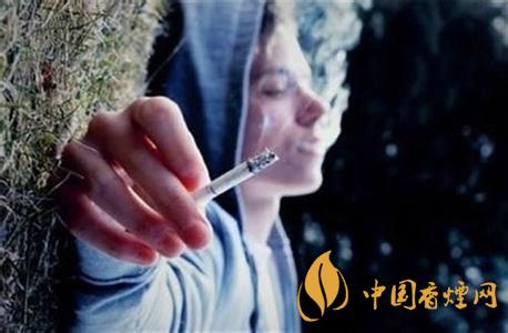 娇子烟哪款最好抽 娇子青花瓷口感评测