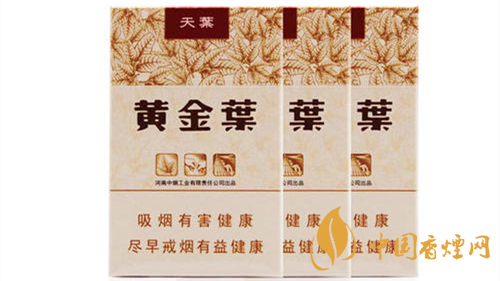 2020黄金叶天叶怎么样 黄金叶大小天叶有什么不同