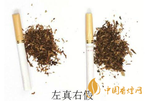 五星红杉树真假辨别2020 五星红杉树怎么辨别真假