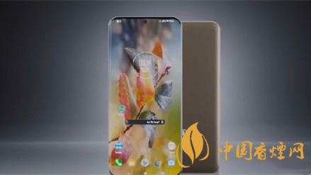 小米11pro和小米10至尊纪念版哪个值得入手-两款配置详情2020