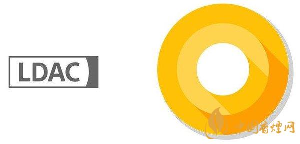 小米11支持ldac 小米11支持无线充电吗