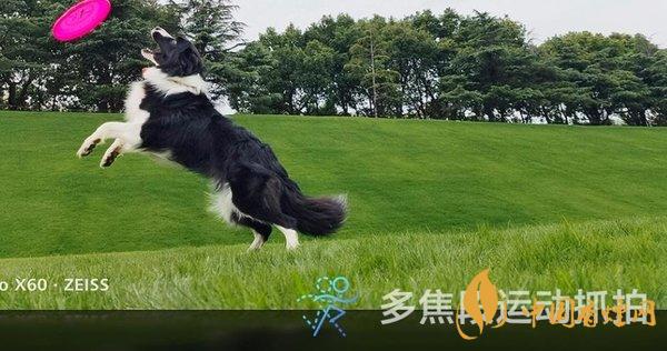 vivox60拍照评测 vivox60值得入手吗