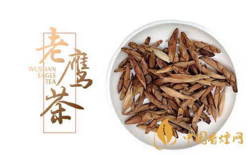 老鹰茶是什么茶有什么功效 老鹰茶的功效和作用详情一览