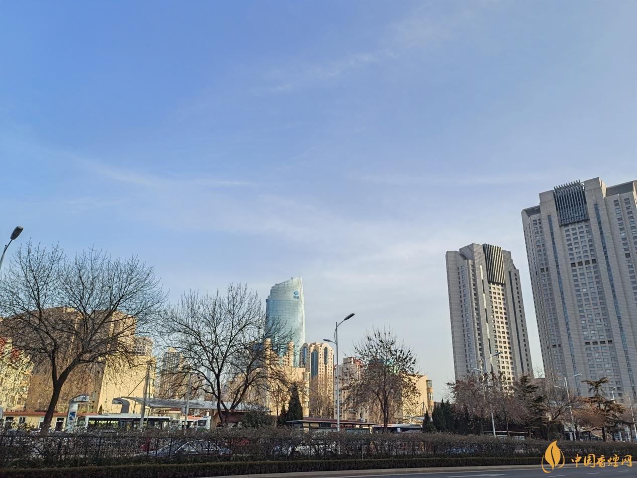 荣耀v40拍照怎么样 荣耀v40拍照评测