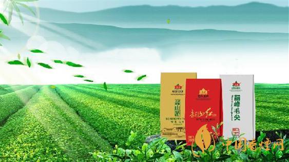 韶峰茶叶多少钱一斤报价 韶峰茶价格和图片查询