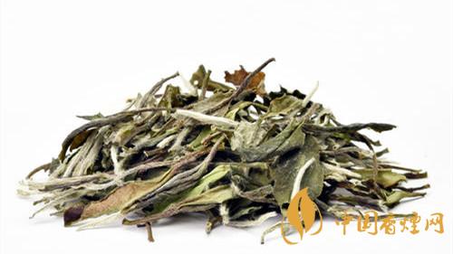 白牡丹茶怎么冲泡最好 白牡丹茶的冲泡方法2021最新