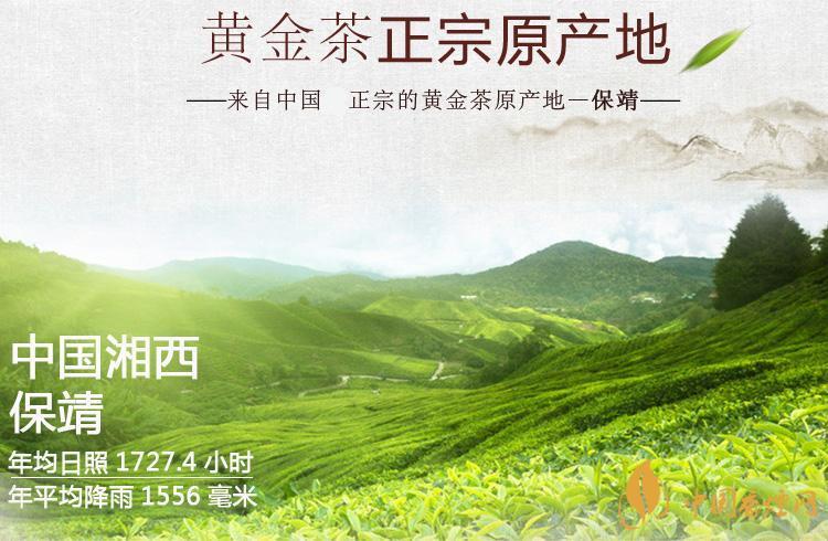 保靖黄金茶多少钱一斤 保靖黄金茶属于什么茶