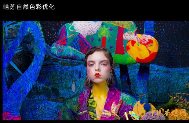 一加9Pro有长焦吗-一加9Pro支持长焦功能吗