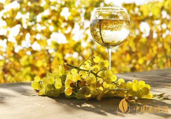 红葡萄酒和白葡萄酒的区别在哪 红葡萄酒和白葡萄酒的区别分析