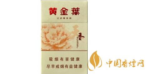 黄金叶香烟种类介绍 2025黄金叶香烟价格图表一览