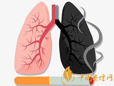吸烟有害健康你知道为什么吗?