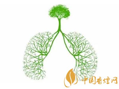 出口香烟与内销版香烟到底有何区别?