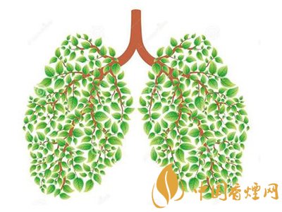 相比癌症慢阻肺疾病离吸烟者更近!