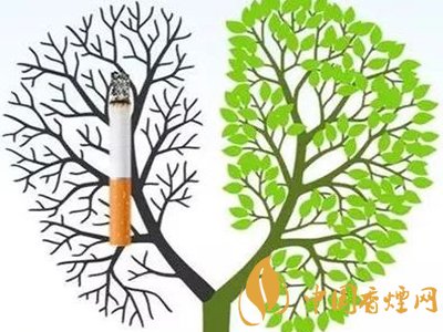 越是便宜的香烟对人体的危害越大吗?