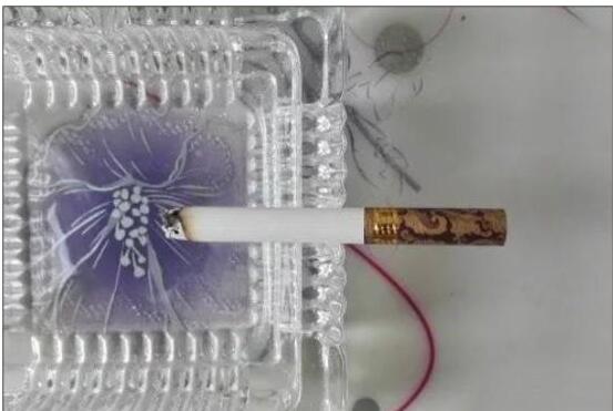 黄鹤楼漫天游,除了短贵没别的毛病