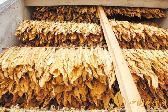 烟叶税是什么,烟叶税如何计算