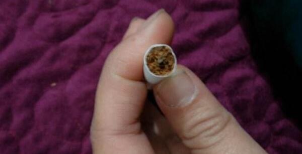 沉香烟丝有害吗(揭沉香烟丝的骗局) 沉香烟丝的坏处有哪些(会上瘾吗)