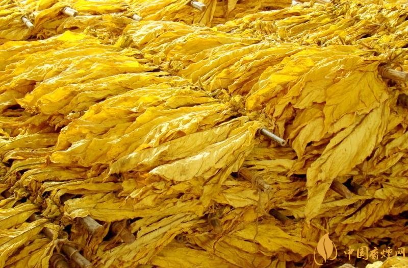有机烟叶是什么,有机烟叶和普通烟叶的区别