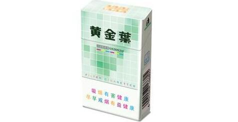 黄金叶(尚酷)怎么样 黄金叶尚酷哪里买