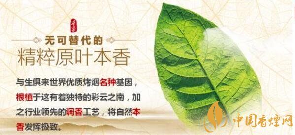 玉溪新品香烟怎么样 新款玉溪烟2017照片