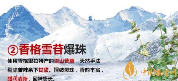 玉溪新品香烟怎么样 新款玉溪烟2017照片