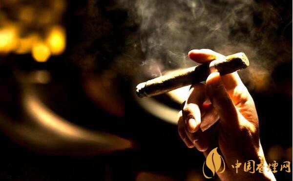 大卫杜夫雪茄怎么样 大卫杜夫温斯顿丘吉尔指挥官好抽吗