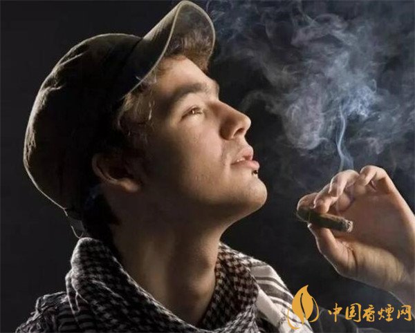 哈瓦那雪茄(乌普曼2号鱼雷)怎么样 乌普曼2号鱼雷口感好吗